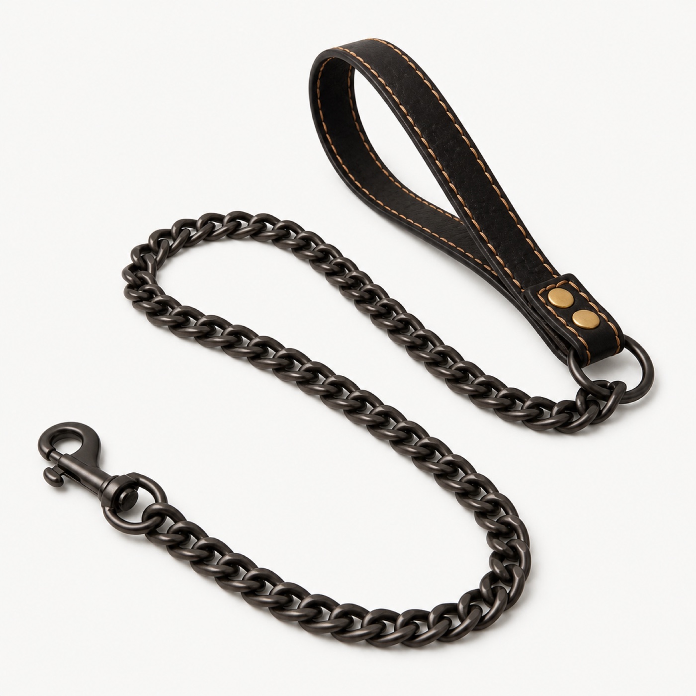 Black Metal Dog Leash